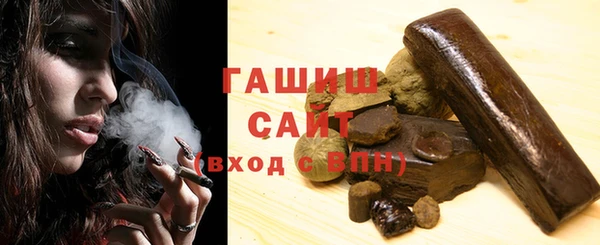 индика Каменка