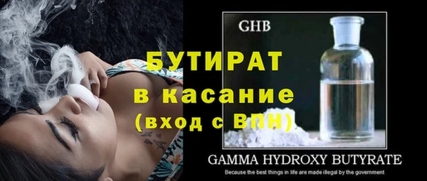 индика Каменка