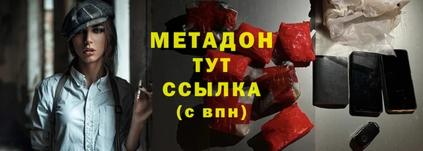 индика Каменка