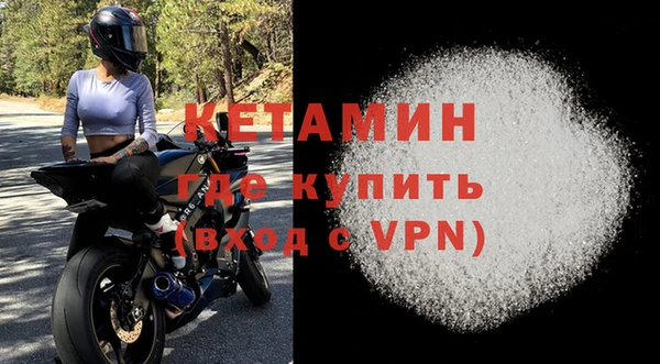 индика Каменка