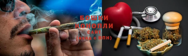 индика Каменка