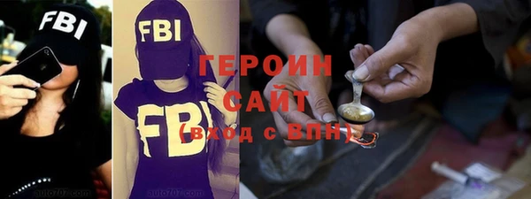 индика Каменка