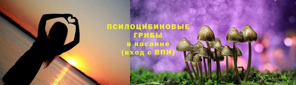 синтетический гашиш Каменногорск