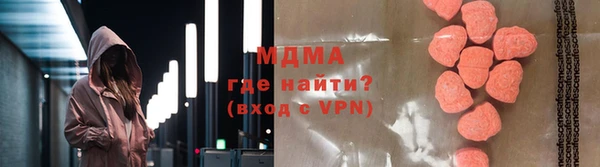 индика Каменка