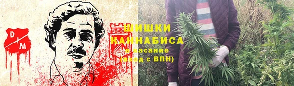 синтетический гашиш Каменногорск