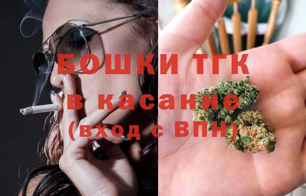 индика Каменка