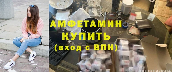 индика Каменка