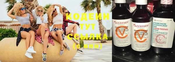 индика Каменка