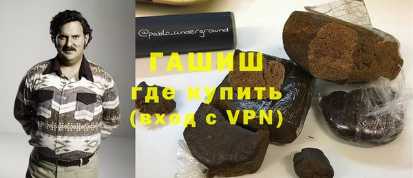 индика Каменка