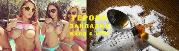 индика Каменка