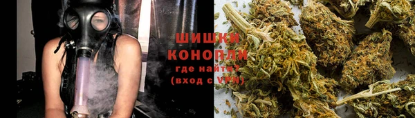 индика Каменка