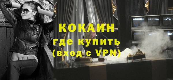 индика Каменка