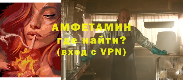 индика Каменка