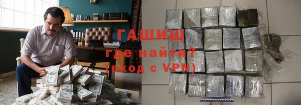 индика Каменка