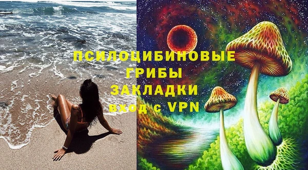синтетический гашиш Каменногорск