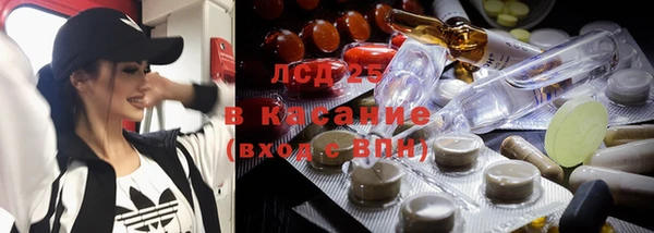 индика Каменка